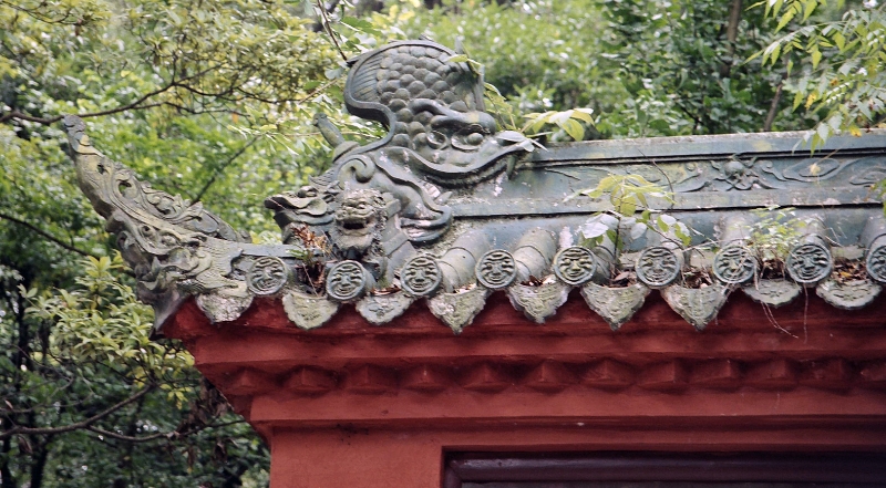 roof tiles, Leshan China 1.jpg